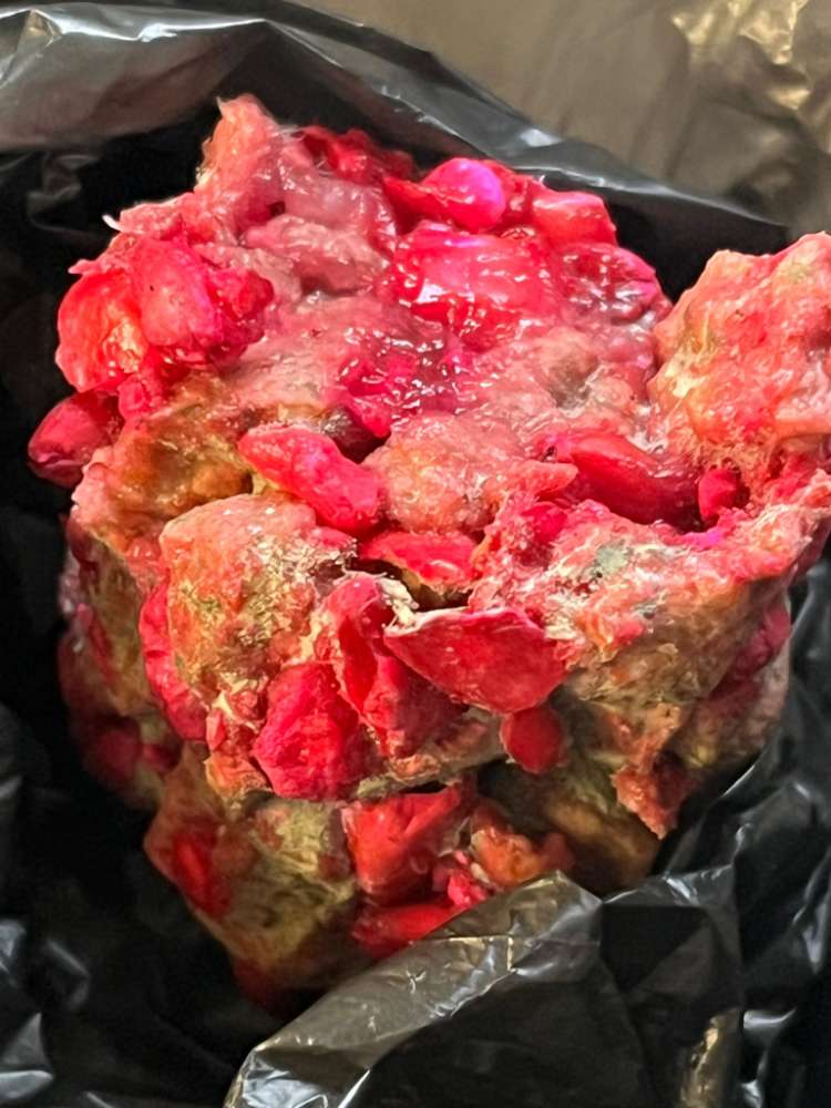 Giftköder-Rattengiftköder .... schon wieder!-Profilbild