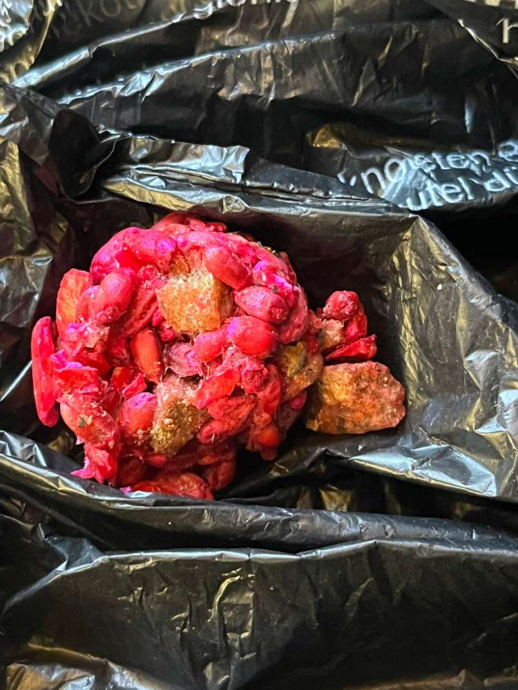 Giftköder-Erneuter Giftköderfund-Profilbild