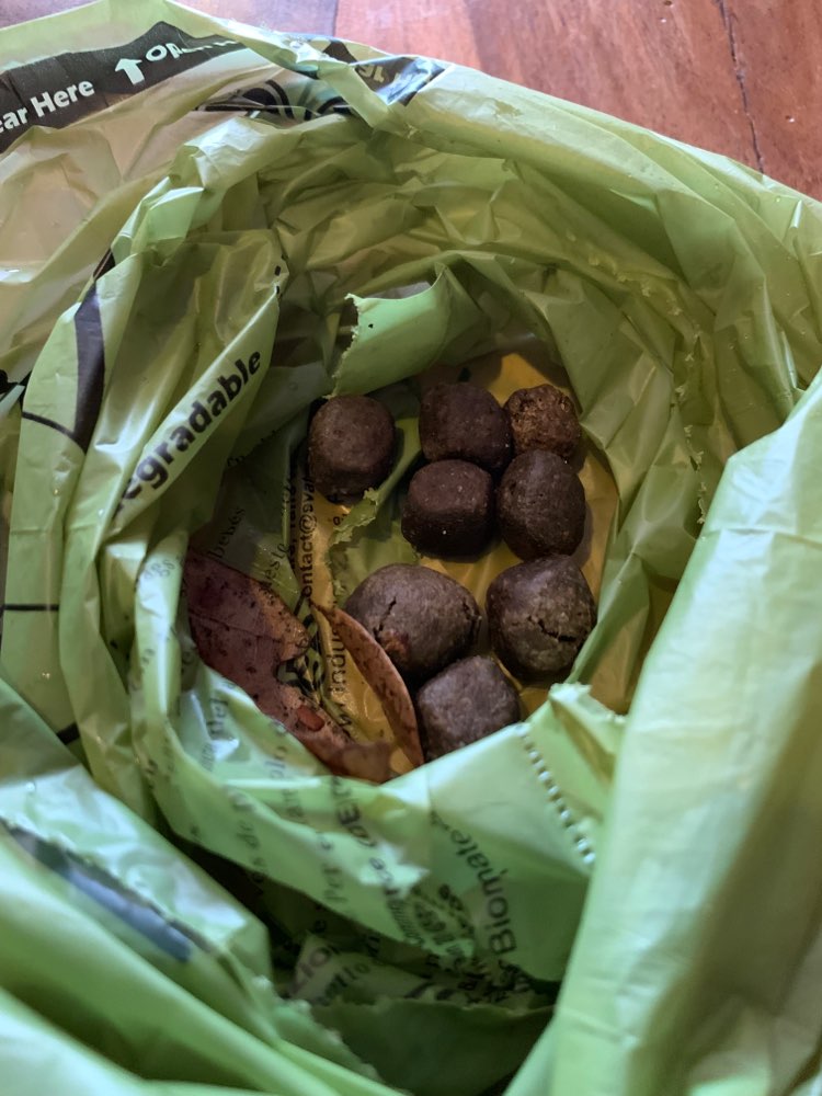 Giftköder-Verstecktes "Futter"-Profilbild