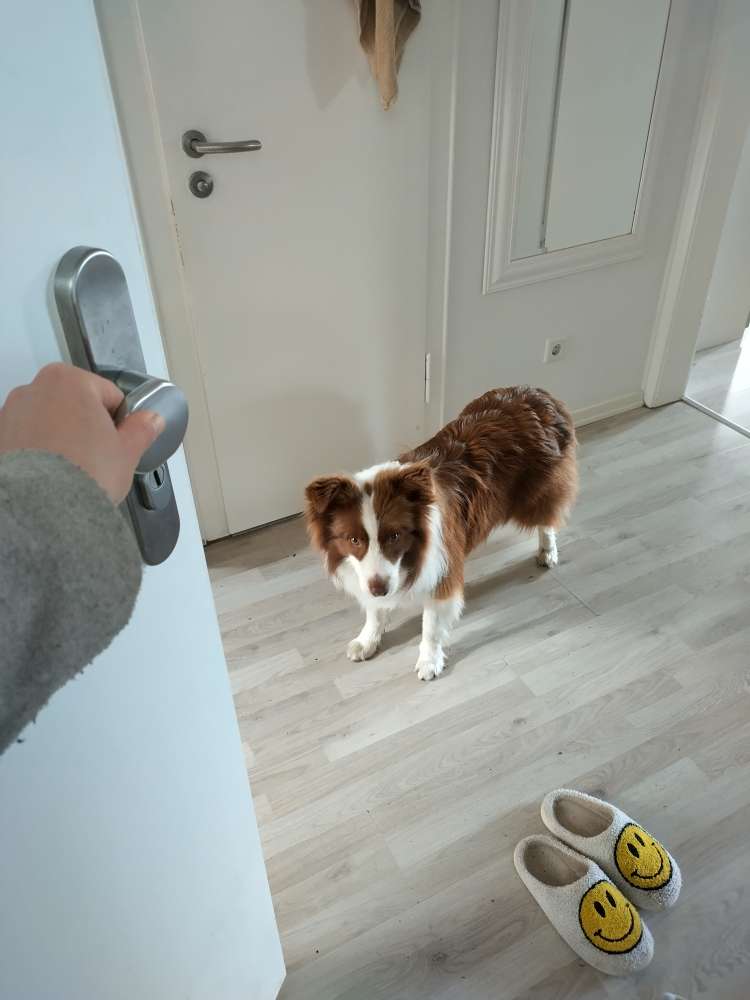 Suchmeldung-Chaska-Profilbild