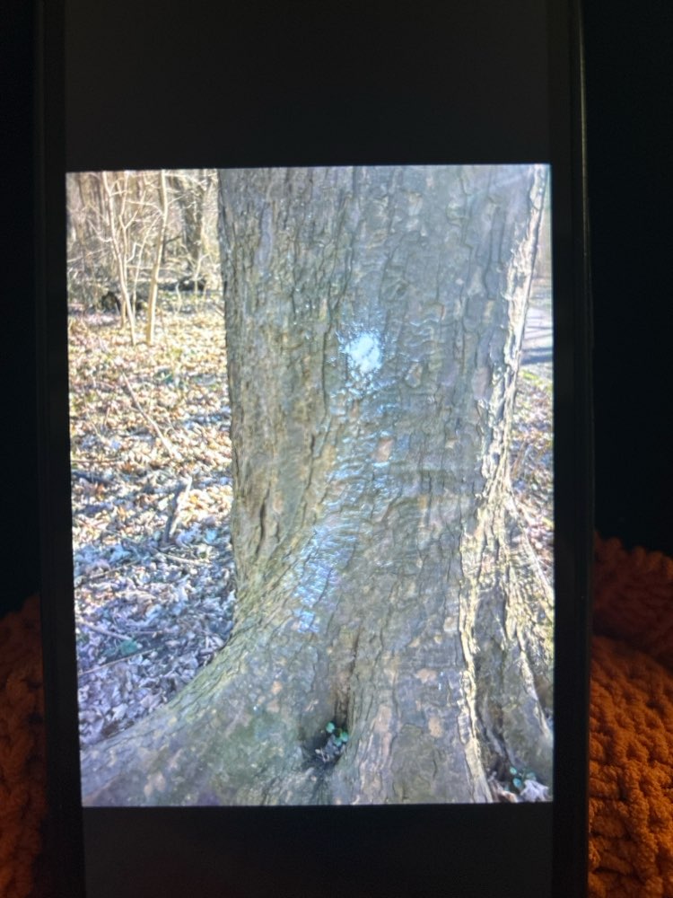 Giftköder-Weißes Pulver-Profilbild