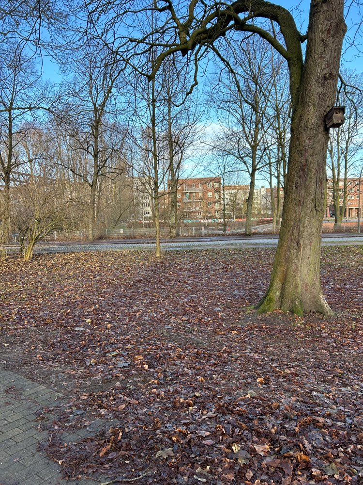 Giftköder-Totes Eichhörnchen-Profilbild