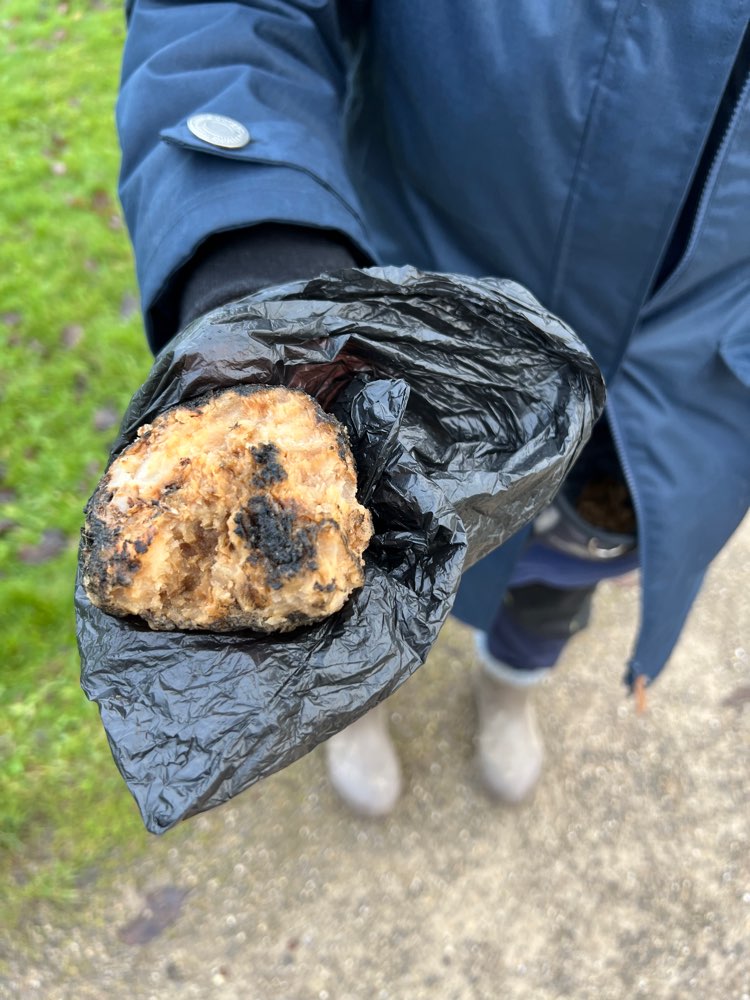 Giftköder-Giftköder-Profilbild