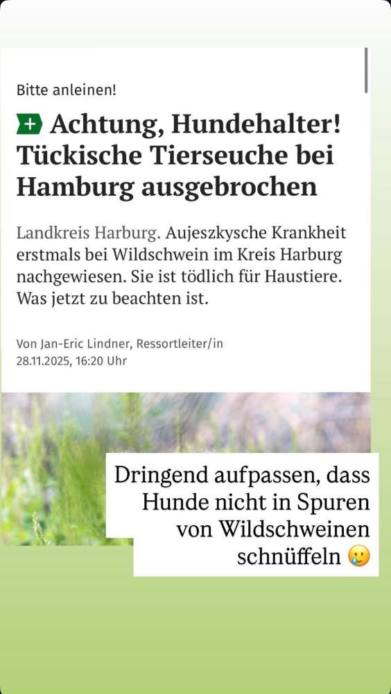 Giftköder-Ansteckungsgefahr-Profilbild