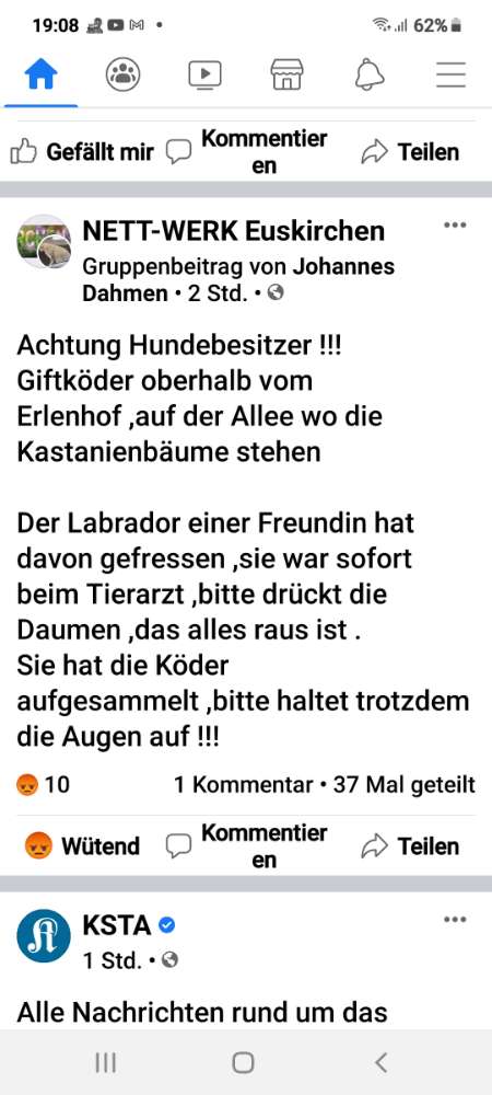 Giftköder-Gift-Profilbild