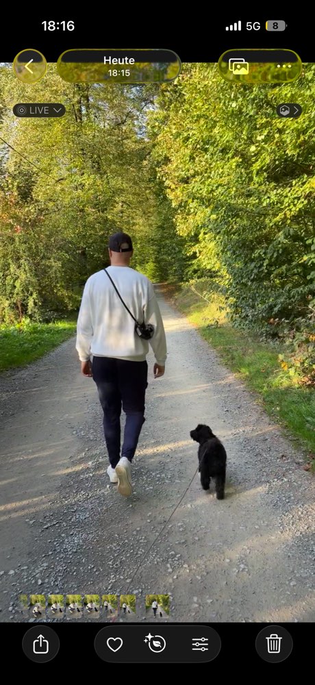 Hundetreffen-Hundbegegnungen und Social Walk-Profilbild