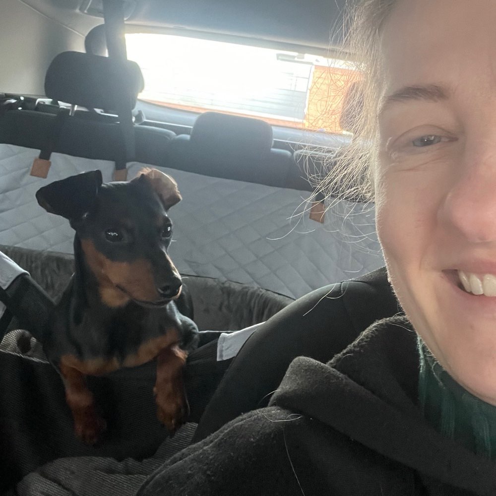 Hundetreffen-Spaziergang-Profilbild
