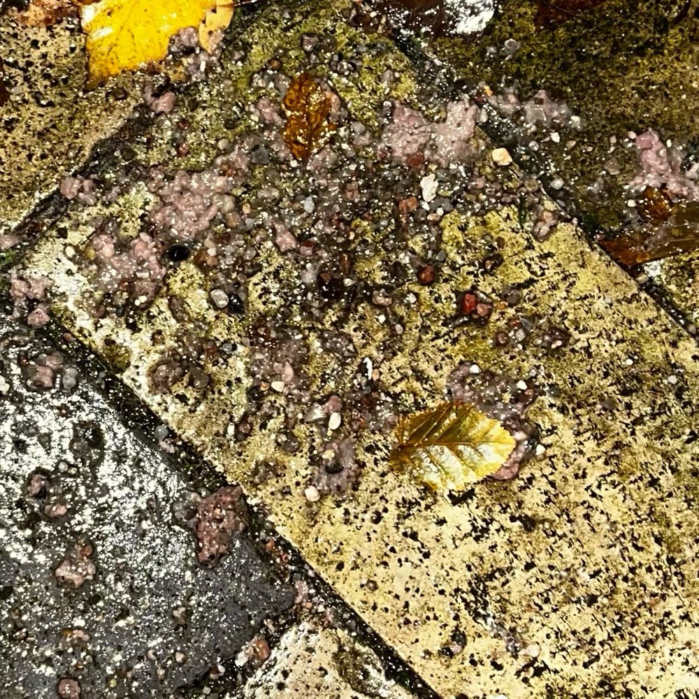 Giftköder-Hackfleisch auf dem Boden-Profilbild