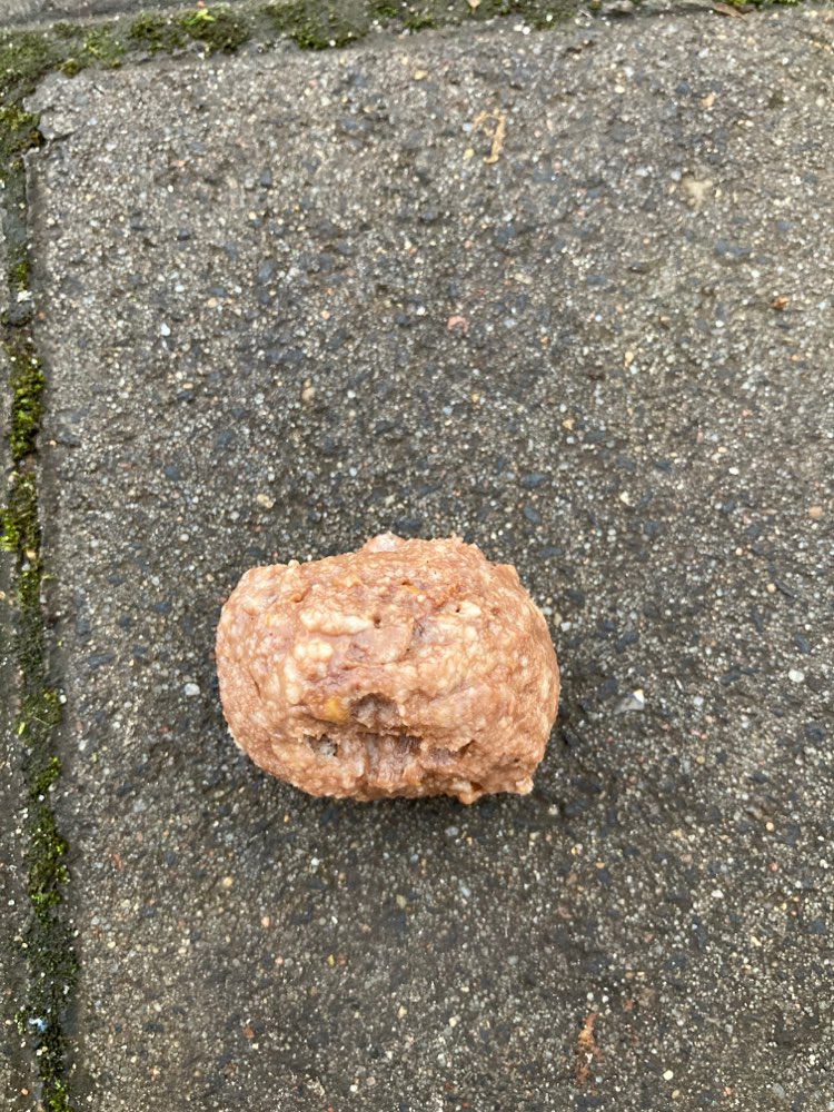 Giftköder-Giftköder / Hackfleisch-Profilbild