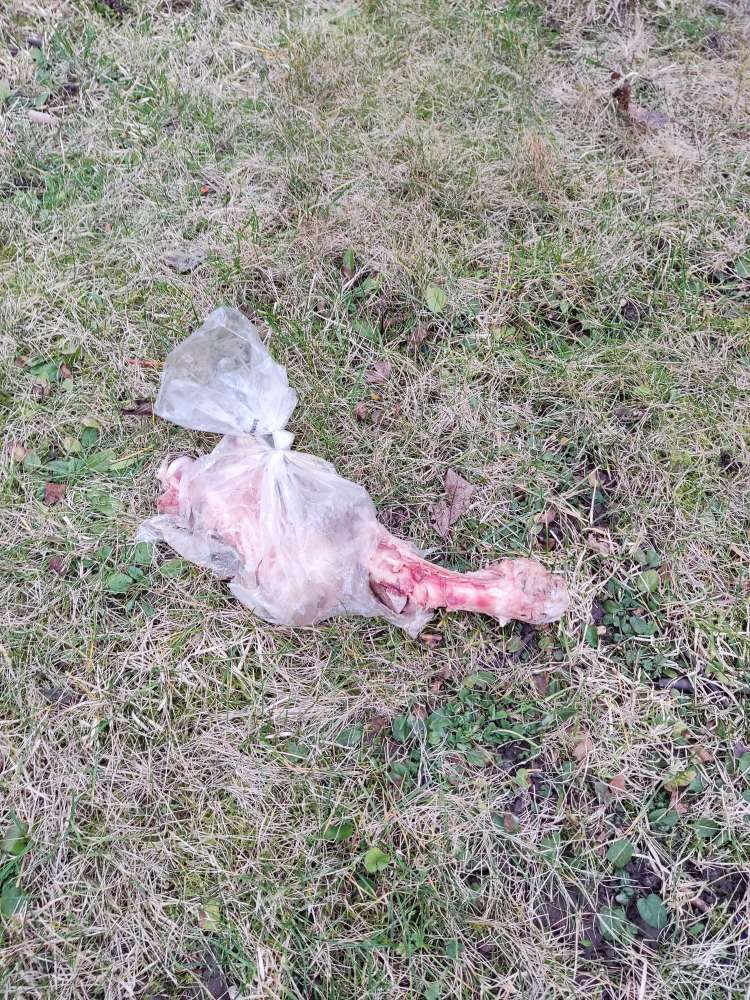 Giftköder-Fleischknochen mit weißer Substanz-Profilbild