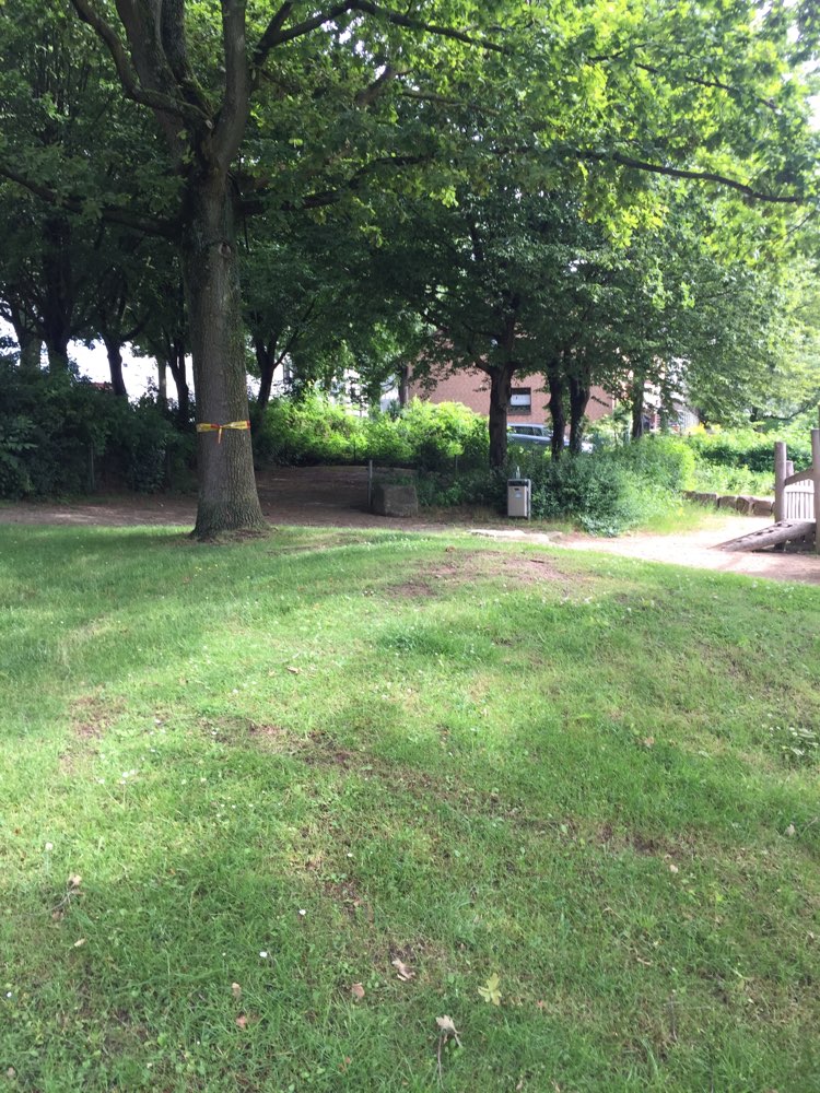 Giftköder-Eichenprozessionsspinner-Profilbild