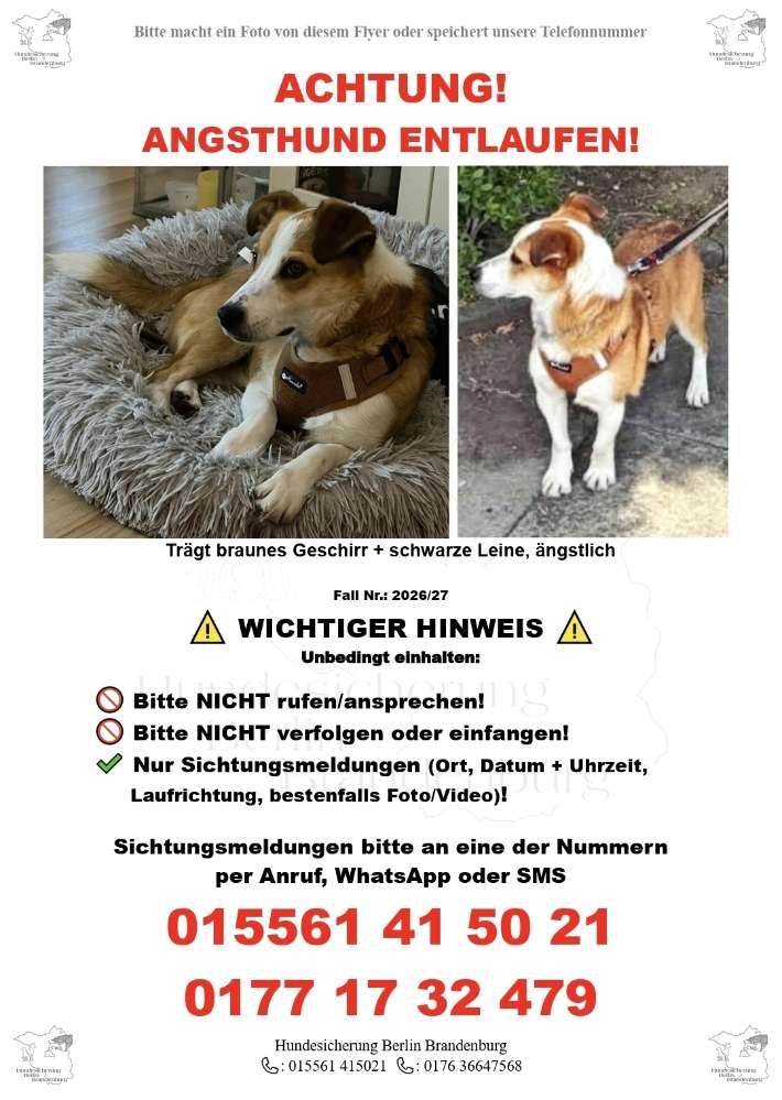 Suchmeldung-ANGSTHUND River-Profilbild