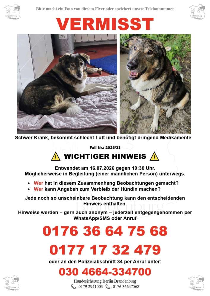 Suchmeldung-schwer kranke ANNY-Profilbild