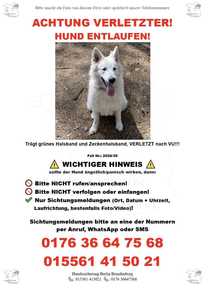 Suchmeldung-Anea-Profilbild
