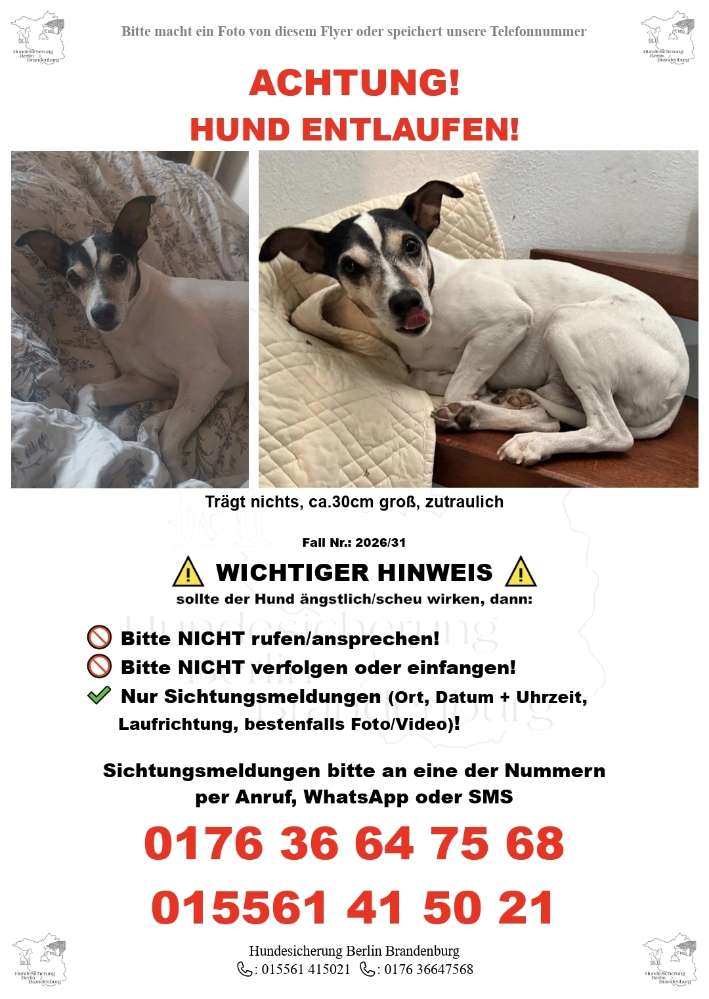 Suchmeldung-Pedro-Profilbild