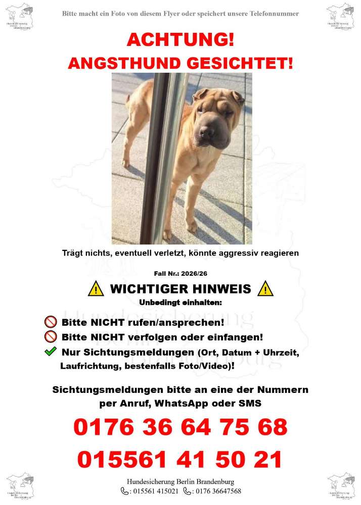 Suchmeldung-ANGSTHUND GESICHTET-Profilbild