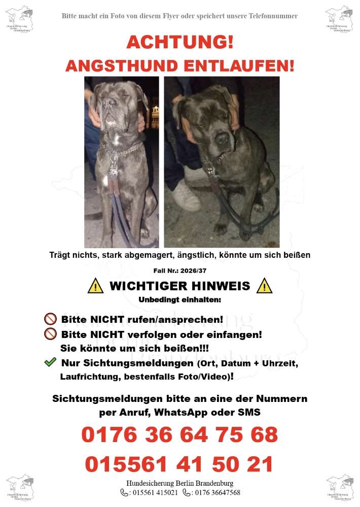 Suchmeldung-Hexe (Angsthund)-Profilbild
