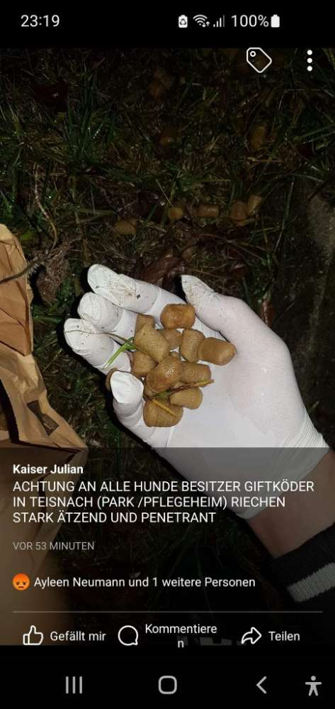Giftköder-Giftköder-Profilbild