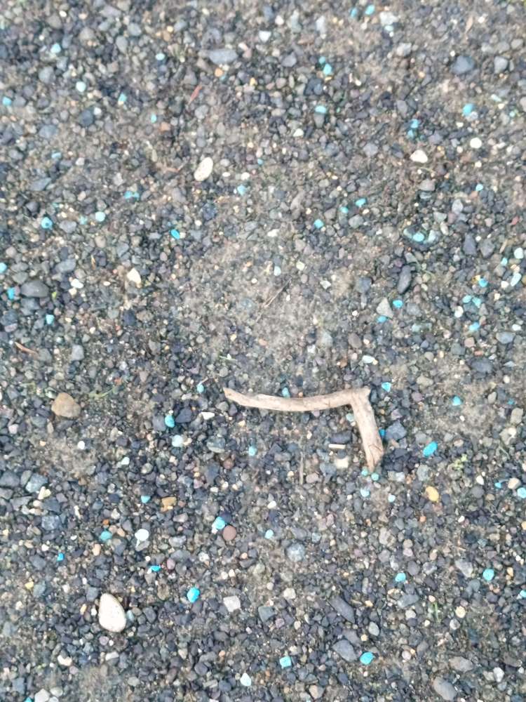 Giftköder-Blaukorn vor Kleingarten-Profilbild