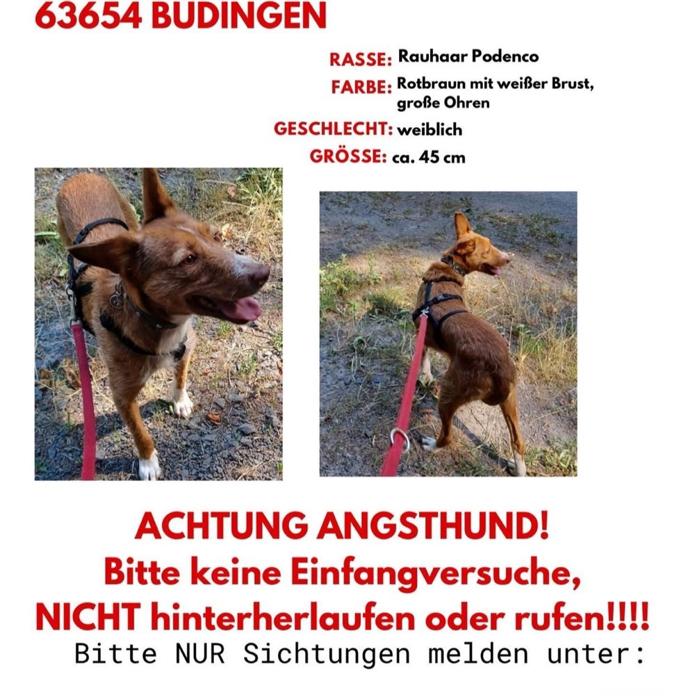 Suchmeldung-Mona-Profilbild