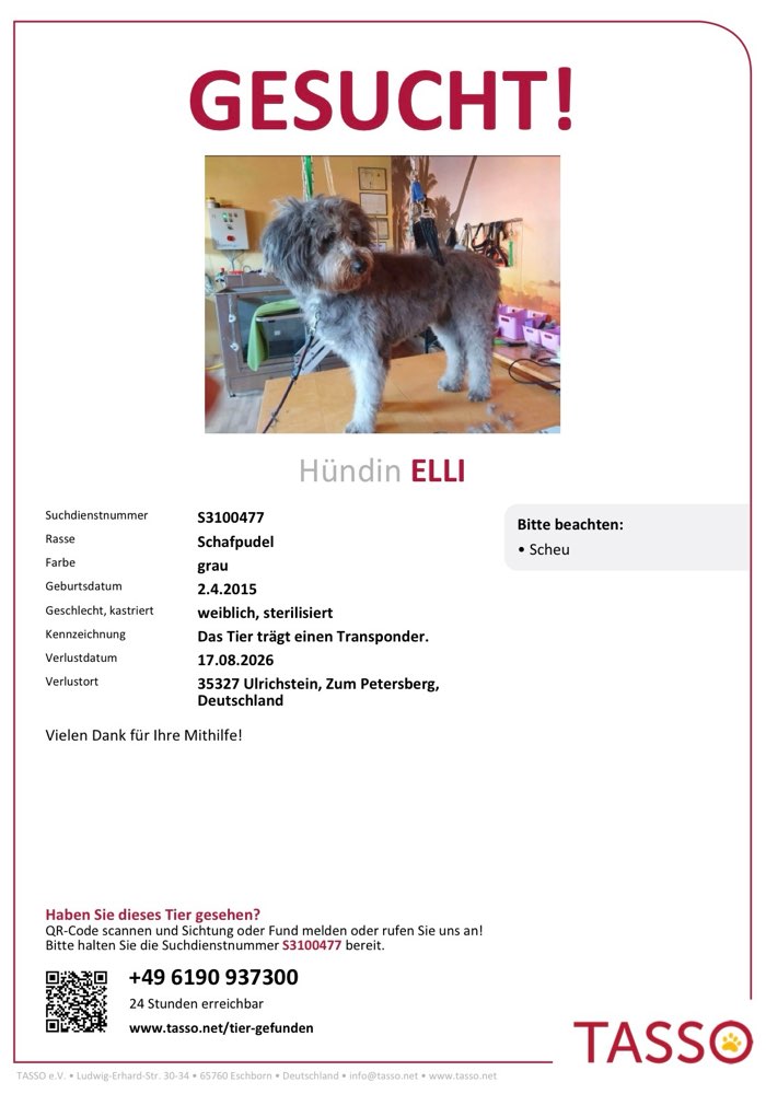 Suchmeldung-Elli-Profilbild