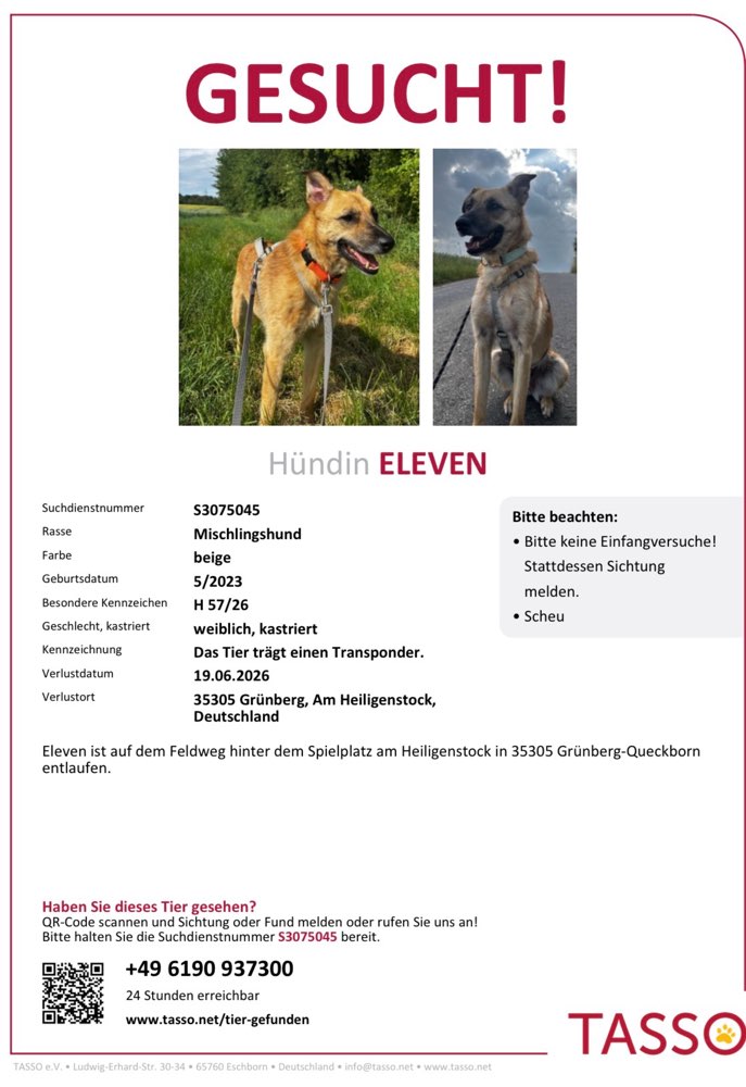 Suchmeldung-Eleven-Profilbild