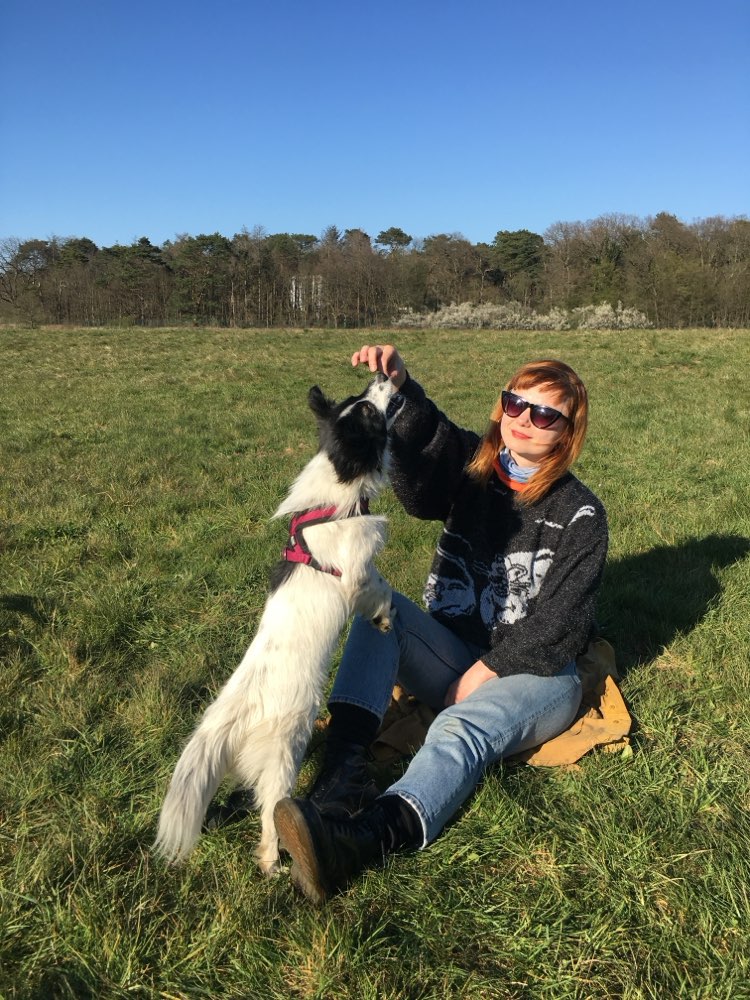 Hundetreffen-Toben im Grüngürtel-Profilbild