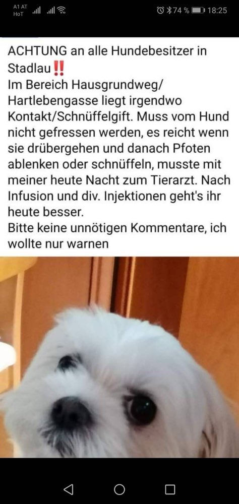 Giftköder-Kontakt/Schnüffelgift-Profilbild