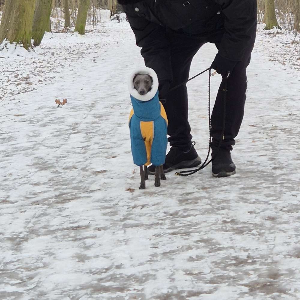 Hundetreffen-Spaziergang für kleine bis mittelgroße Hund-Profilbild