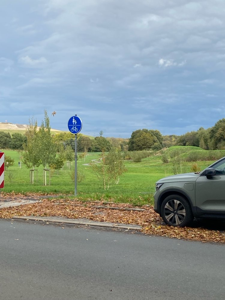 Giftköder-3 Jugendliche werfen Böller-Profilbild