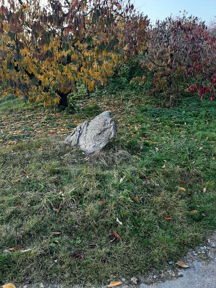 Giftköder-Verdacht Giftköder-Profilbild