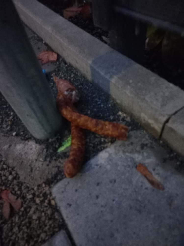 Giftköder-Rohwürste-Profilbild