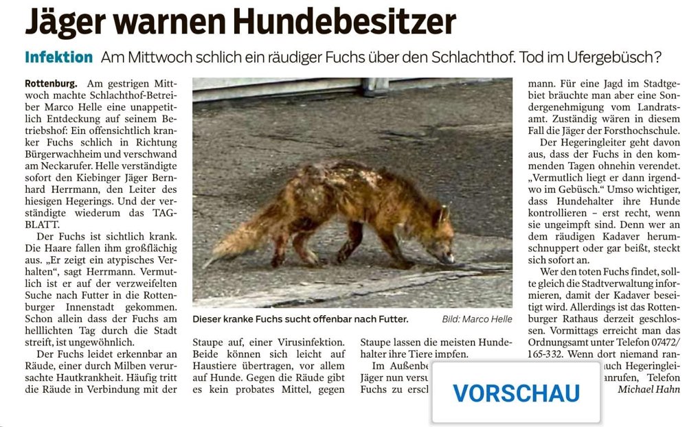 Giftköder-Räudiger Fuchs-Profilbild