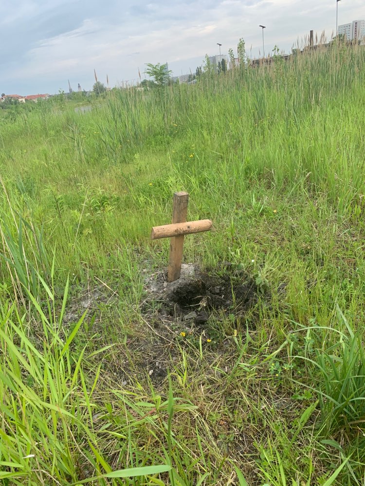 Giftköder-Toter Marder-Profilbild