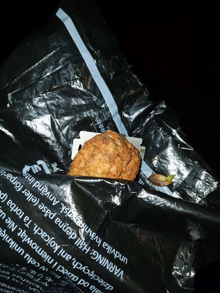 Giftköder-4 weitere Frikadellen mit Rasierklingen-Profilbild