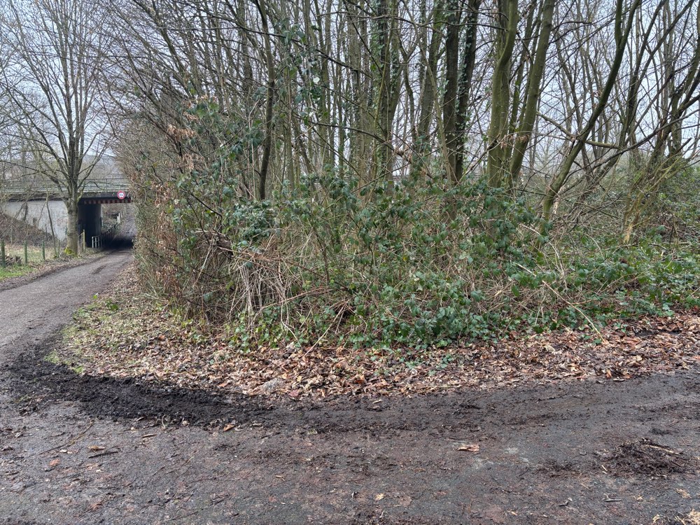 Giftköder-Hundefutter/ Giftköder-Profilbild