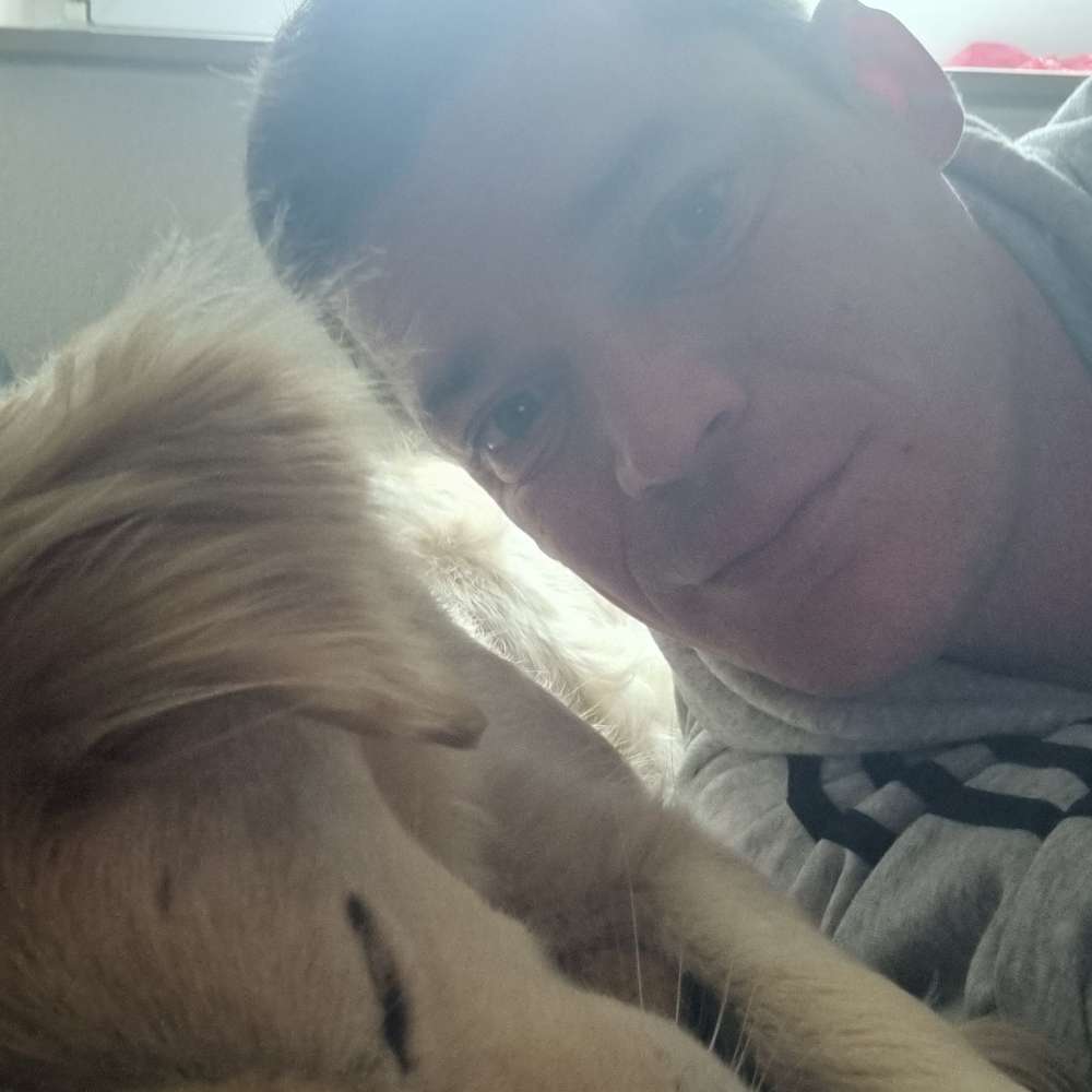 Hundetreffen-Gassi-Profilbild