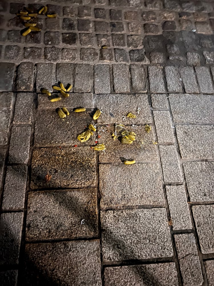 Giftköder-Glasscherben und saure Gurken-Profilbild