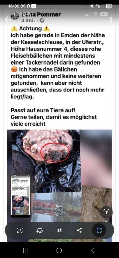 Giftköder-Giftköder-Profilbild