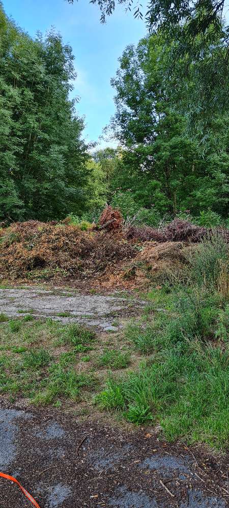 Giftköder-Tierreste: vermutl. Bein und Schulter-Profilbild