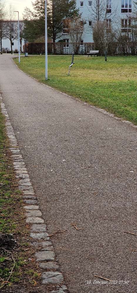 Giftköder-Glasscherben auf dem Weg-Profilbild