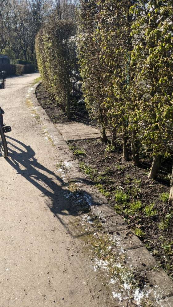 Giftköder-Weißes Pulver an Schrebergärten-Profilbild