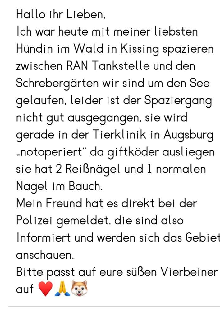 Giftköder-Giftköder-Profilbild