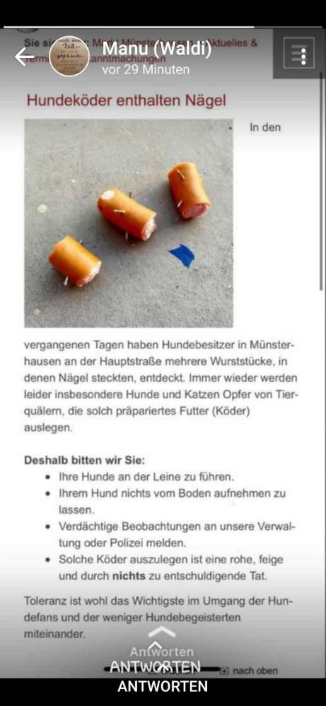 Giftköder-Wurststücke mit Nägeln-Profilbild