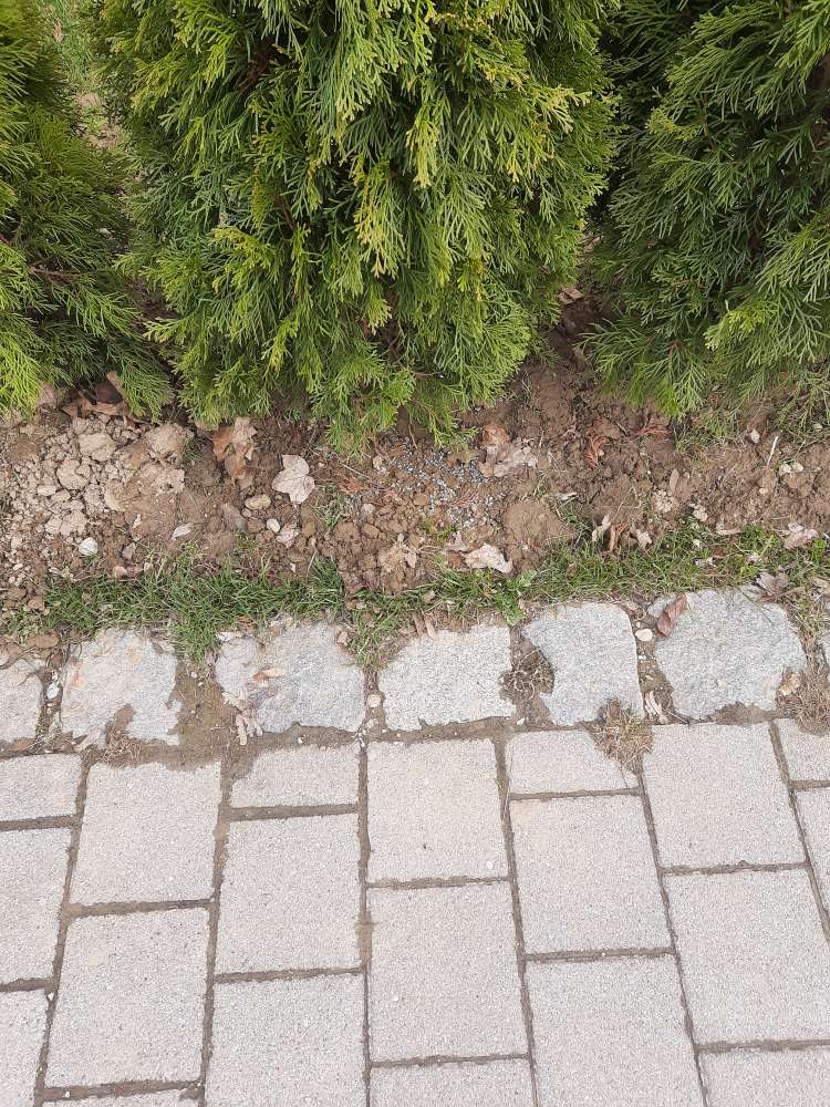 Giftköder-Schneckenkorn-Profilbild