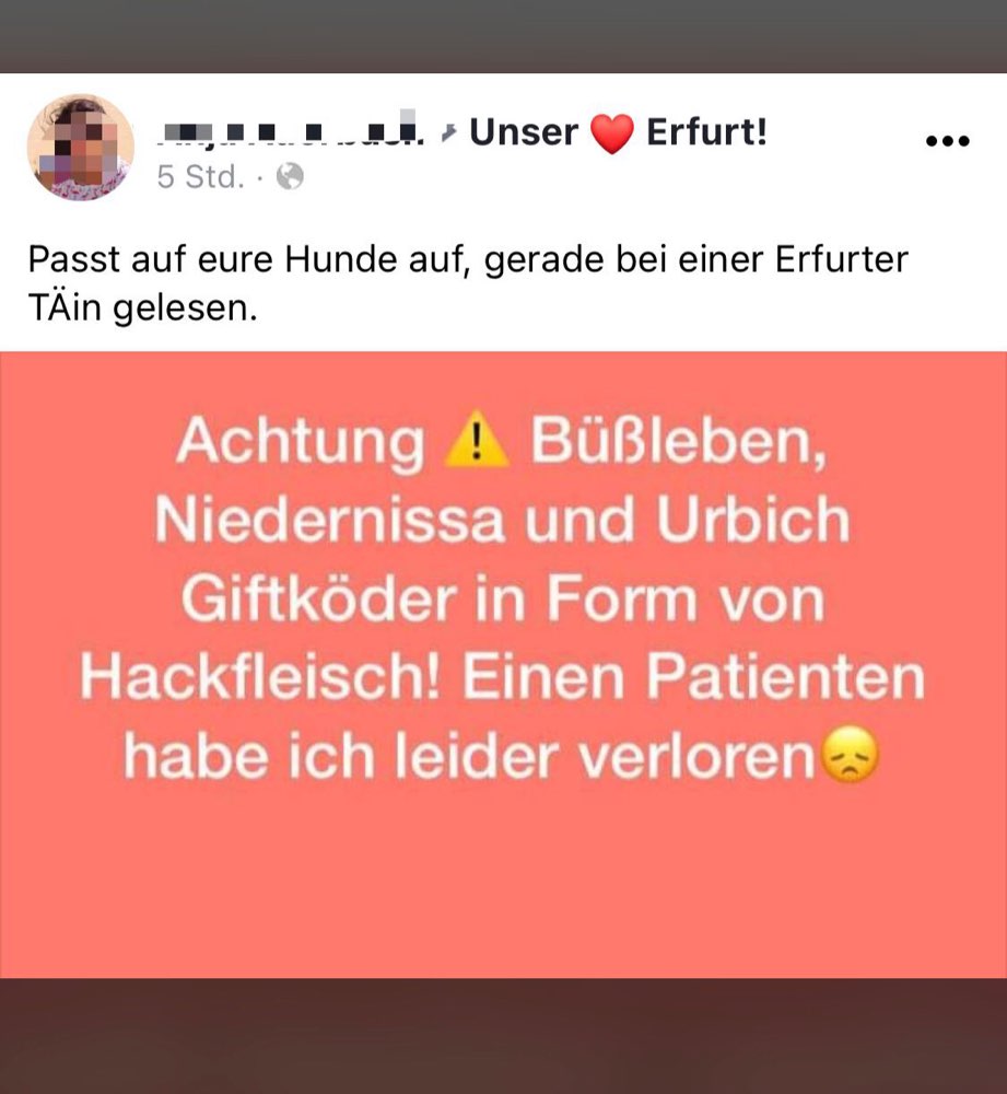 Giftköder-Giftköder-Profilbild