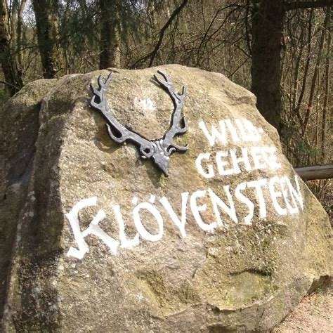 Hundetreffen-Klövensteen Spaziergang-Profilbild