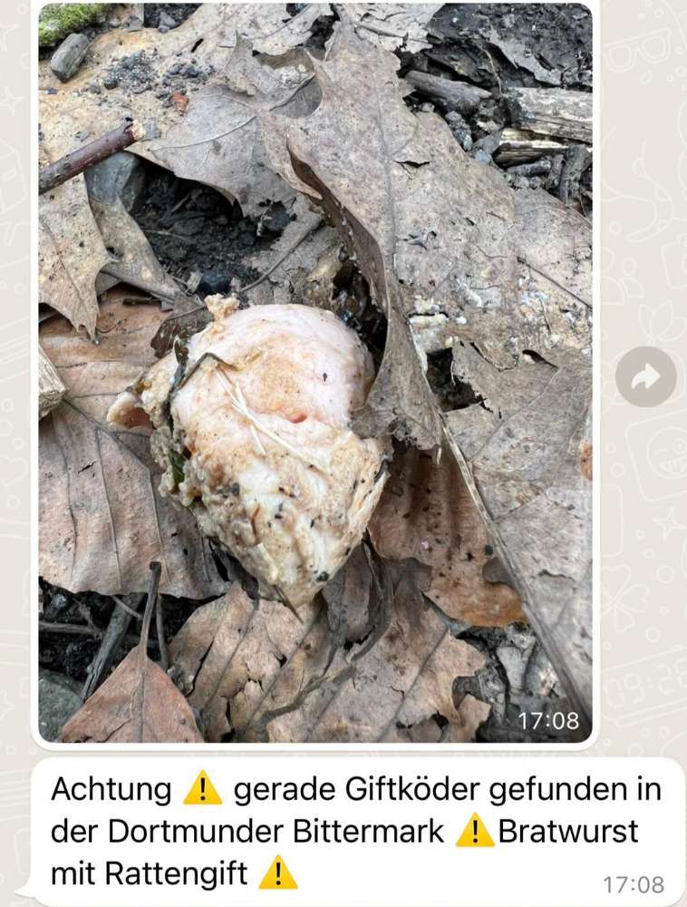 Giftköder-Bratwurst mit Rattengift!!!-Profilbild