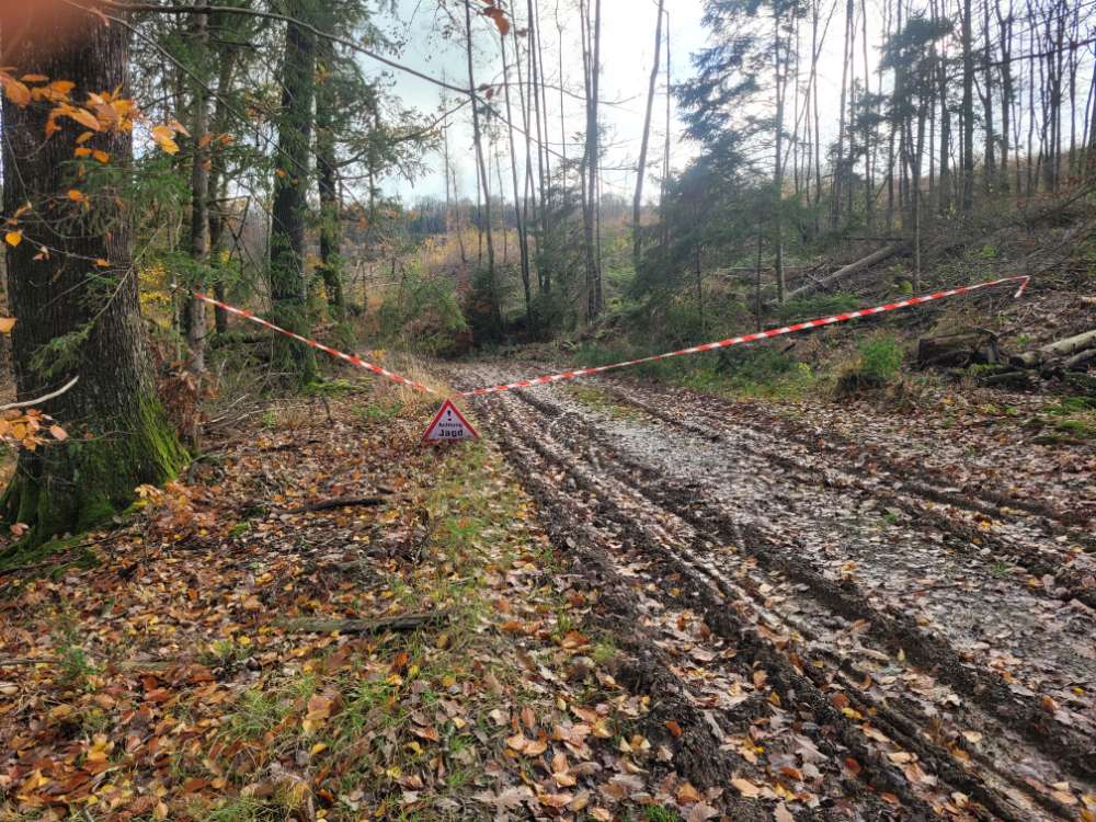 Giftköder-Jagdgebiet-Profilbild