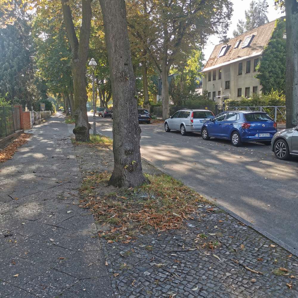 Giftköder-Weißes Pulver am Baum-Profilbild